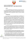 Vista preliminar de documento RD Nº D000173-2024-DE