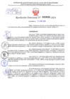 Vista preliminar de documento Resolución Directoral. N° 2635 - 2024 