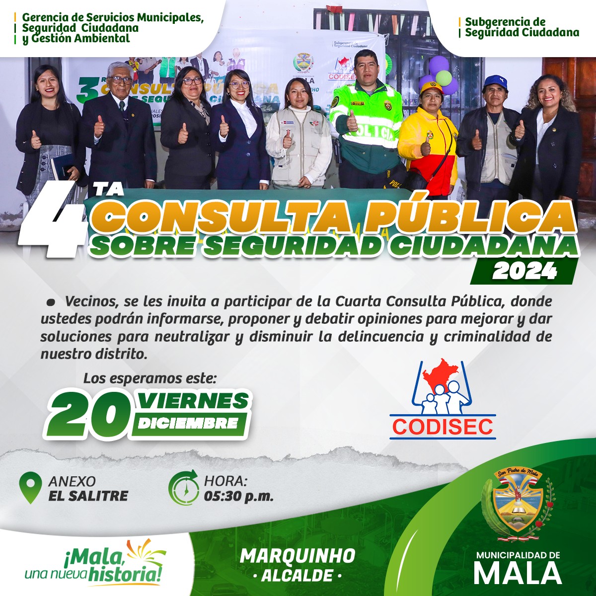 4ta Consulta Pública 2024 sobre Seguridad Ciudadana