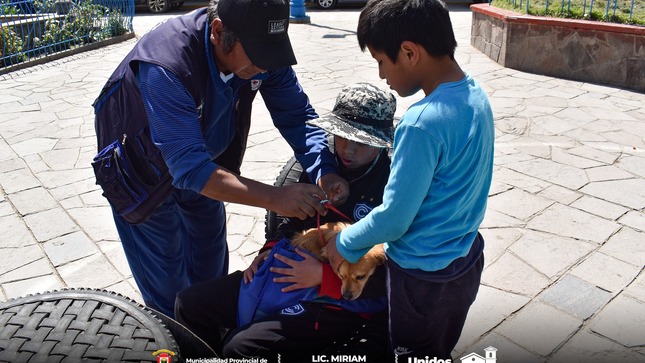 Archivo imagen de Campaña de Vacunación de Canes contra la Rabia en Paucartambo
