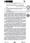 Vista preliminar de documento rd271-2024