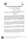 Vista preliminar de documento RDR Nº 4451-2024-GRSM-DRE
