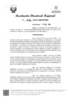 Vista preliminar de documento RDR Nº 4460-2024-GRSM-DRE