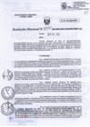 Vista preliminar de documento RD N°0137