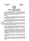 Vista preliminar de documento Resolucion Subgerencial N°102-2024