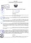 Vista preliminar de documento R.D 2029-2024