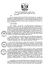 Vista preliminar de documento RD N 223-2024-DE