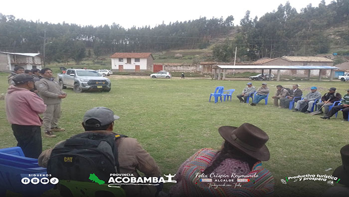 imagen3