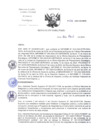 Vista preliminar de documento RD-132-2024-DG-INCN