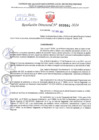Vista preliminar de documento Resolución Directoral N° 2684 - 2024