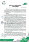 Vista preliminar de documento Resolución de Gerencia Municipal N° 0691-2024-GM-MDM