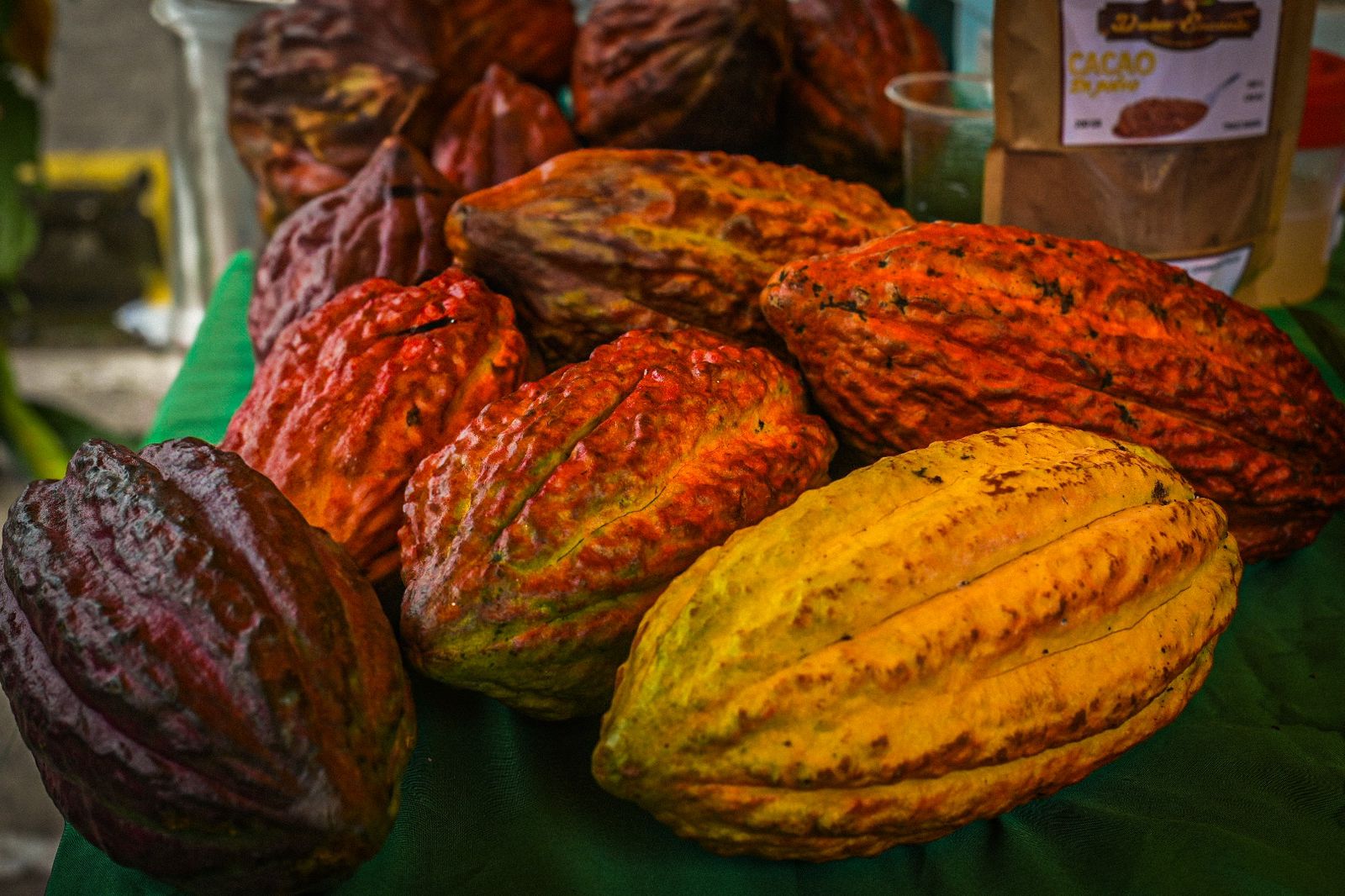 AGRO RURAL