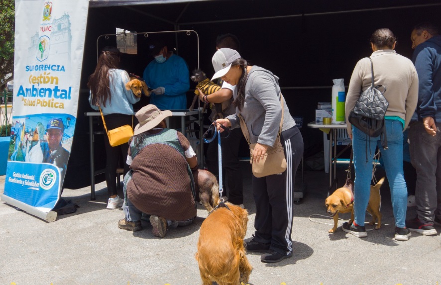 Municipalidad de Puno realiza exitosa jornada de desparasitación y suplementación vitamínica para mascotas y perritos sin hogar