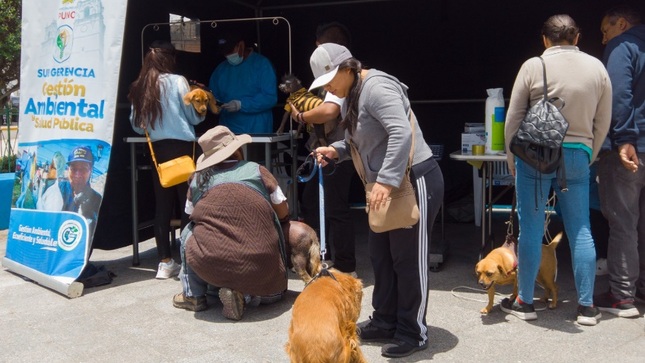 Municipalidad de Puno realiza exitosa jornada de desparasitación y suplementación vitamínica para mascotas y perritos sin hogar