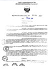 Vista preliminar de documento 4263
