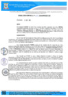 Vista preliminar de documento RG-1199 QR
