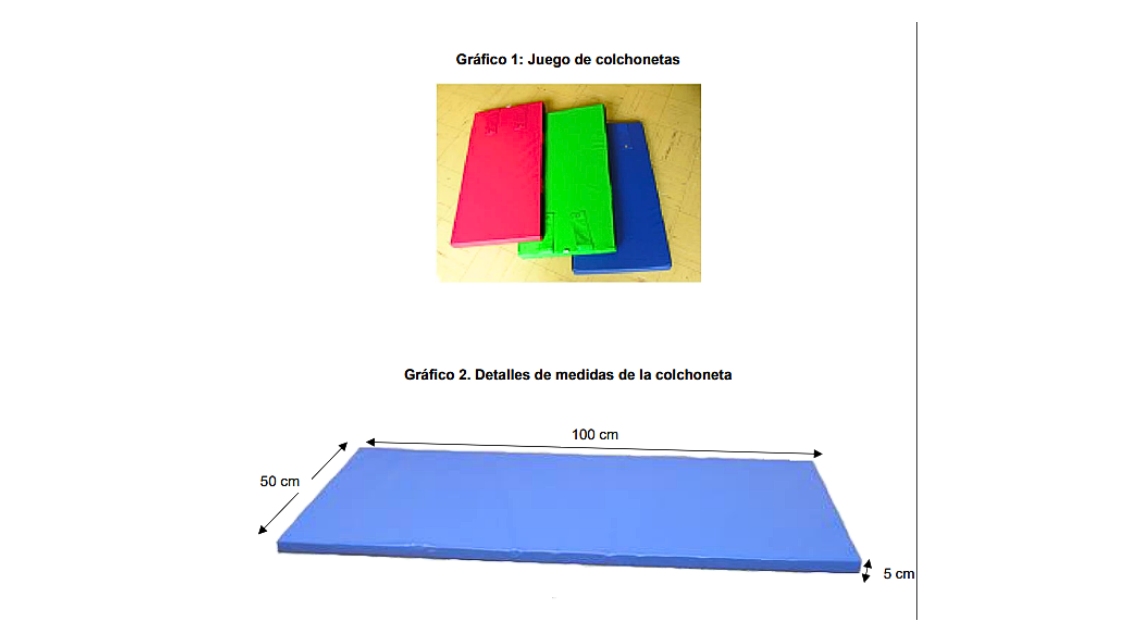Composición de la foto de un kit de cochonetas y el esquema de la Ficha de Homologación