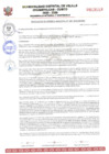 Vista preliminar de documento RESOLUCION DE GERENCIA Nº250