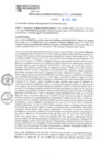 Vista preliminar de documento RGM N°810-2024