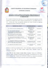 Vista preliminar de documento ACTA IV CONSULTA PUBLICA