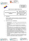 Vista preliminar de documento 01 2024-12-05 Directiva N° DCD-14-2024