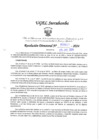 Vista preliminar de documento RD N° 817