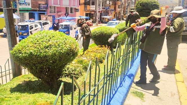 Municipalidad de Puno impulsa la recuperación y mejora de áreas verdes en la ciudad