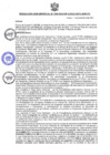 Vista preliminar de documento RESOLUCIÓN N° 919-2024