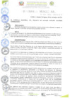 Vista preliminar de documento ORDENANZA MUNICIPAL N° 016