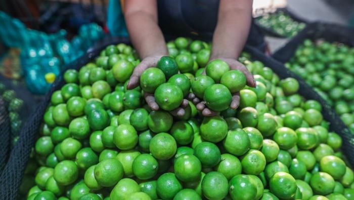 Hoy mayores ofertas de papa, limón, camote, plátano, palta, naranja y otros en mercados mayoristas
