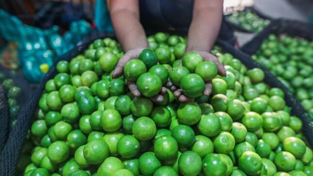 Hoy mayores ofertas de papa, limón, camote, plátano, palta, naranja y otros en mercados mayoristas
