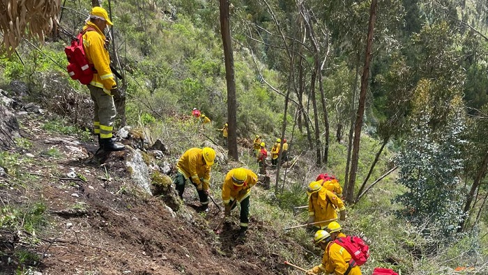 curso bomberos forestales