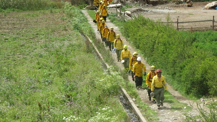curso bomberos forestales