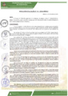 Vista preliminar de documento ra-141