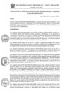 Vista preliminar de documento RGMAF-228-2024