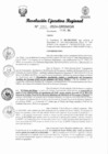 Vista preliminar de documento RER 334