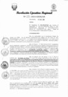 Vista preliminar de documento RER 335