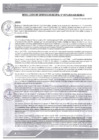 Vista preliminar de documento rgm-373