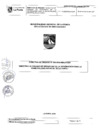 Vista preliminar de documento Directiva de Órgano Nº006-2024 "Directiva de Órgano de seguridad de la información para la Municipalidad Distrital de La Punta"