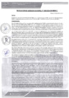 Vista preliminar de documento rgm-389