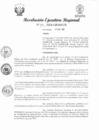 Vista preliminar de documento RER 341
