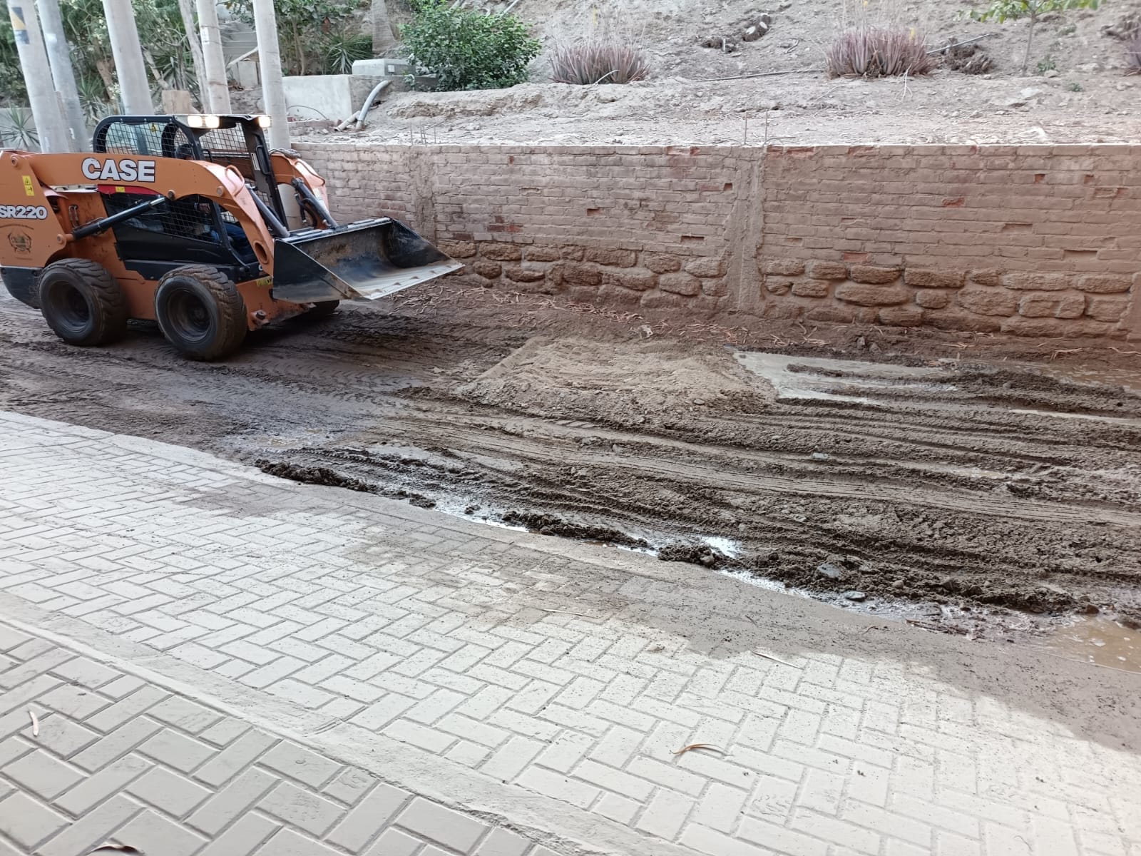 #MDMInforma | MDM INICIA TRABAJOS DE MEJORAMIENTO DE CARRETERA LAS POCITAS🛤