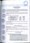 Vista preliminar de documento 20 SCO 28.10.2024