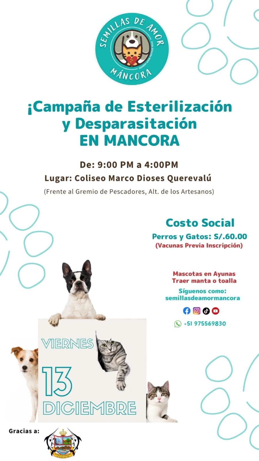 #MDMInforma | CAMPAÑA DE ESTERILIZACIÓN PARA MASCOTAS   🐕🐈