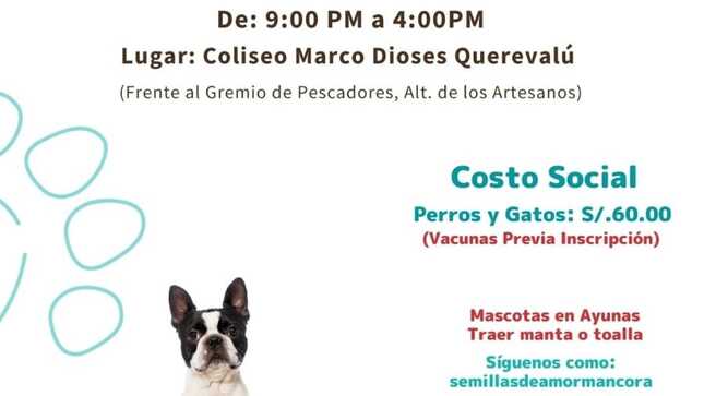 #MDMInforma | CAMPAÑA DE ESTERILIZACIÓN PARA MASCOTAS   🐕🐈