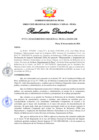 Vista preliminar de documento RD333-2024
