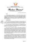 Vista preliminar de documento RD335-024