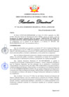 Vista preliminar de documento RD336-024