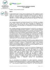 Vista preliminar de documento Designación Oficial Confianza Seguridad Digital
