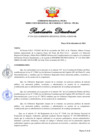 Vista preliminar de documento RD338-2024